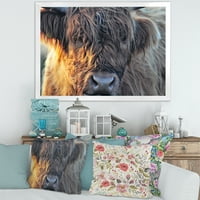 Дизайнарт 'близък план на шотландска крава на Мавърланд' Ферма рамка Арт Принт